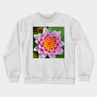 Captivating Pink Water Lily Crewneck Sweatshirt